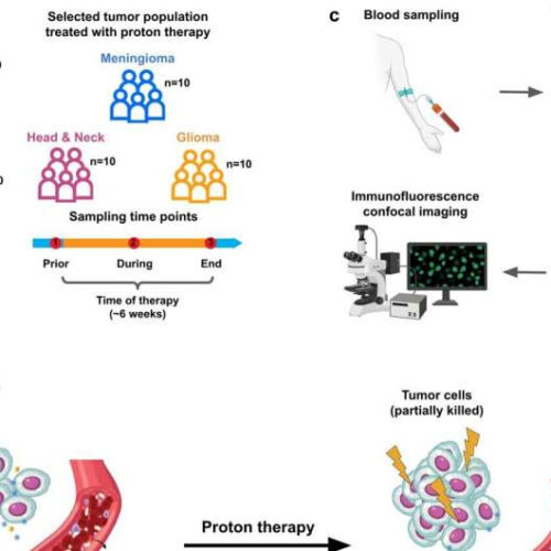 Enabling early detection of cancer with AI-based chromatin biomarkers