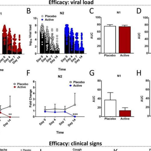 Clinical trial investigates new oral treatment for COVID-19