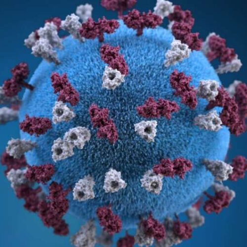 Researchers map how measles virus spreads in human brain