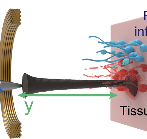 Nanorobots Release Reactive Oxygen Species to Kill Fungal Biofilms