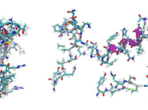 Unlocking the secrets of peptide sequences in cells with AI