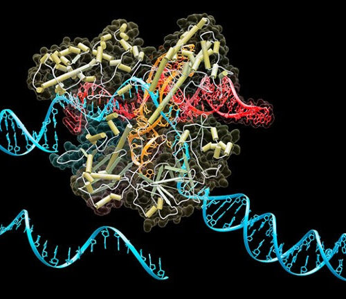 Treasure trove’ of new CRISPR systems holds promise for genome editing