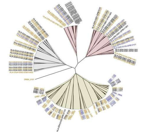 Scientists map the antigenic landscape