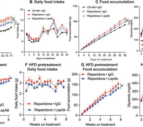 Study suggests key to antipsychotic-drug–induced obesity