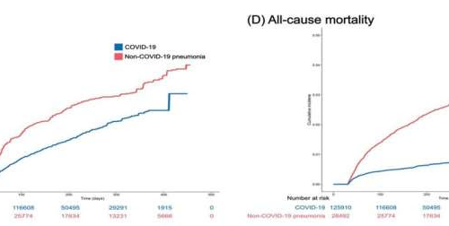 Study looks at cardiovascular risks in COVID-19 survivors