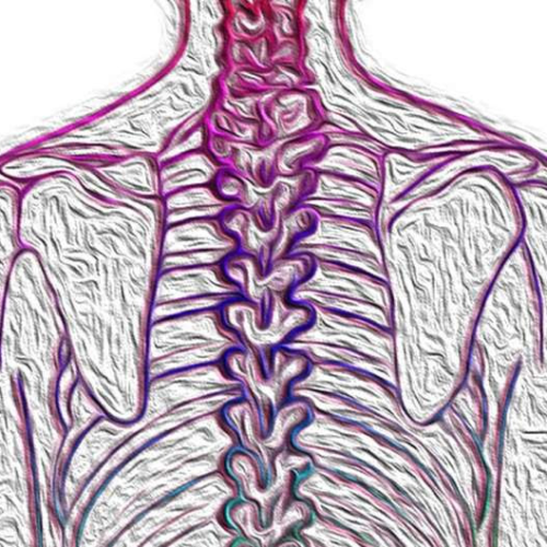 Breaking the curve: A call for comprehensive scoliosis awareness and care