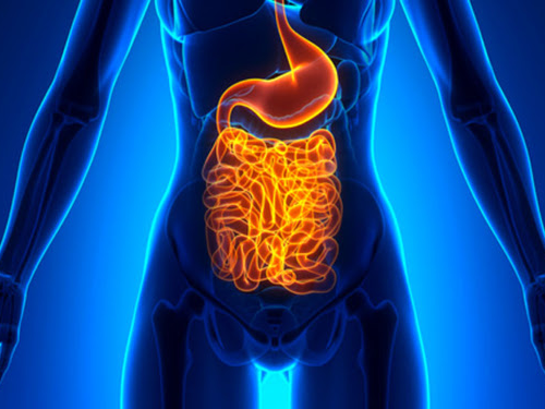 The gut-brain axis: Emotional states correlate with microbiome variations, scientists find