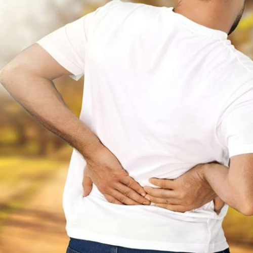New clues to origins of lower back pain