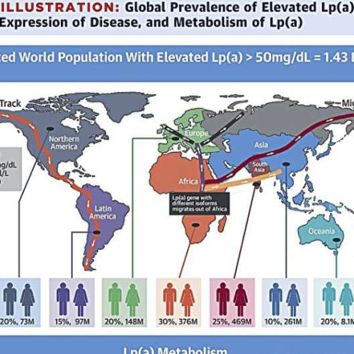 Lipoprotein(a): What to know about elevated levels