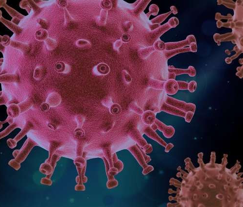 Study: This protein may be the ‘glue’ that helps COVID virus stick