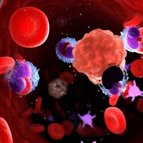 FDA warns of rare secondary cancer risk with CAR-T therapies