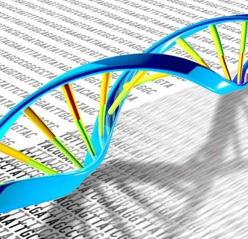 New tool improves the search for genes that cause diseases