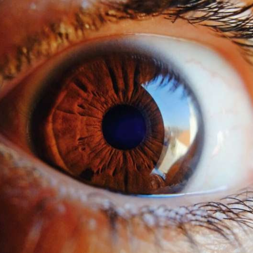 Optometry expert warns red light myopia therapy can injure retina