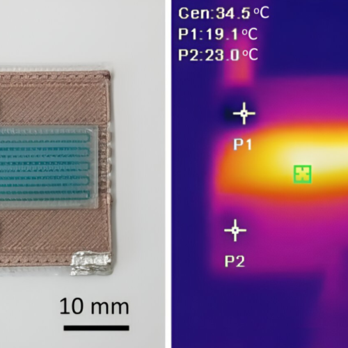 MIT RESEARCHERS INNOVATE 3D PRINTED SELF-HEATING MICROFLUIDIC DEVICES FOR AFFORDABLE DISEASE DETECTION