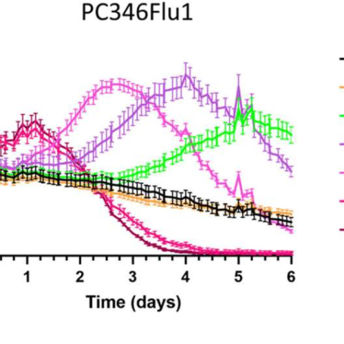 A naturally-occurring molecule shows promise as effective first-line treatment for prostate cancer