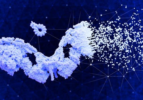 AI tool predicts function of unknown proteins