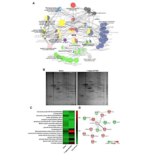 Study: GV1001 reduces neurodegeneration and prolongs lifespan in mouse model of Alzheimer’s disease