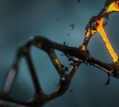 Genetic risk prediction for ten chronic diseases moves closer to the clinic
