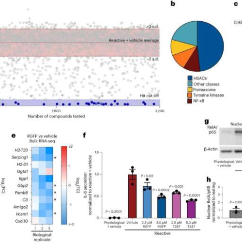 Fixing rogue brain cells may hold key to preventing neurodegeneration