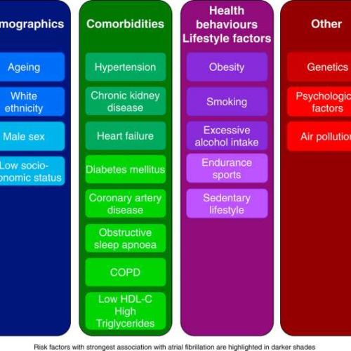 Review seeks to understand and manage risk factors for common heart condition