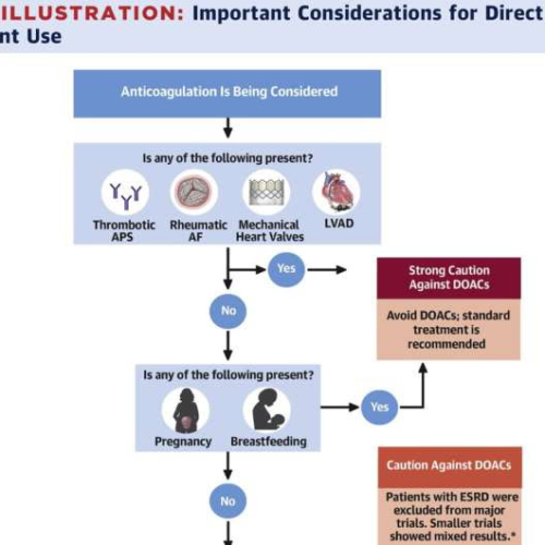 Dos and don’ts developed for direct oral anticoagulants