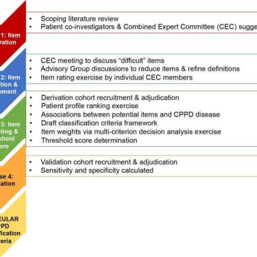 Validated classification criteria for calcium pyrophosphate deposition (CPPD) disease