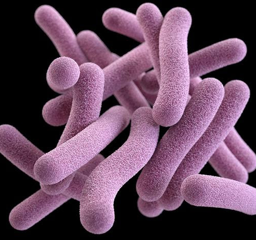 Drug-resistant tuberculosis responds rapidly to bedaquiline-based second-line therapy