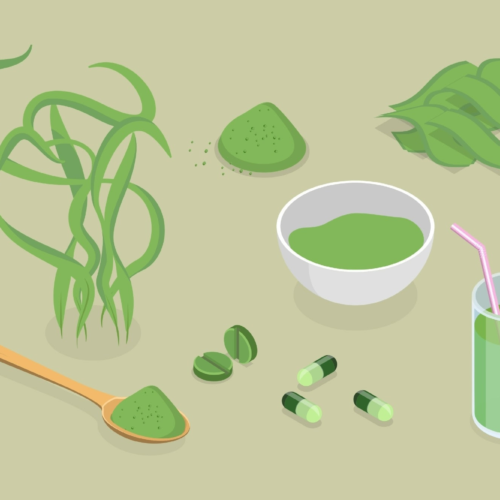 The Potential of Algae-Based Supplements in Nutritional Health