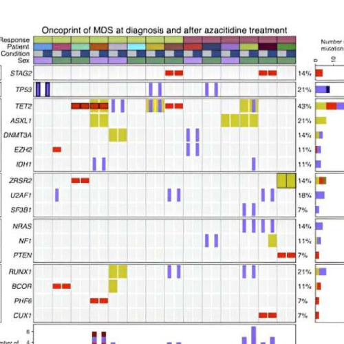 Team discovers how to predict whether patients with leukemia will be sensitive to epigenetic drugs