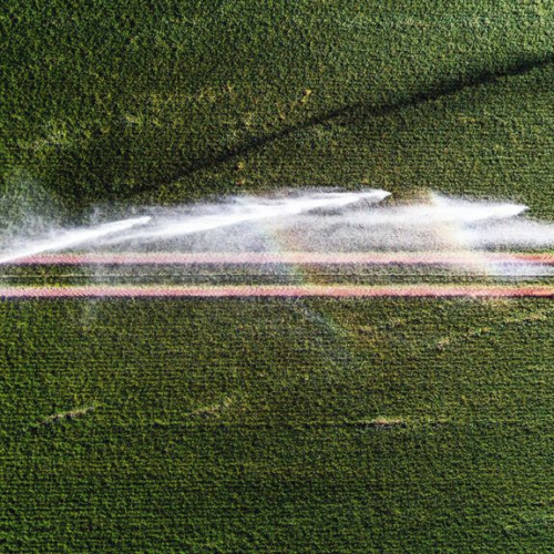 Another 3 common pesticides are now linked to Parkinson’s disease risk