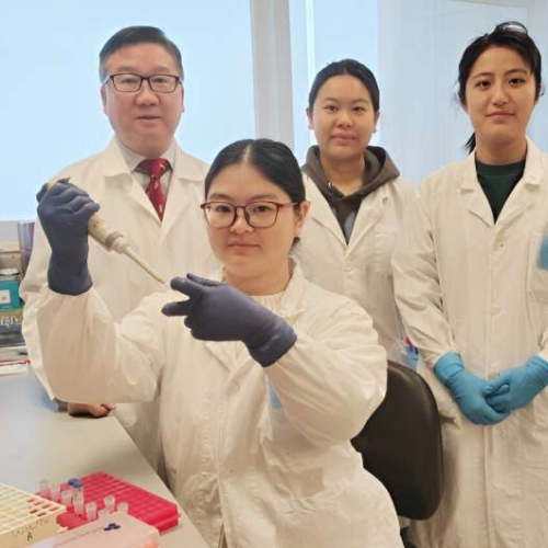 Researchers develop dual anti-tumor vaccine