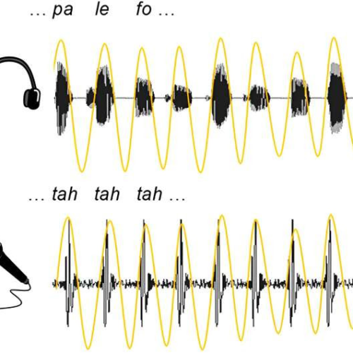 Do you have an ear for languages? It may be related to how you perceive the rhythms