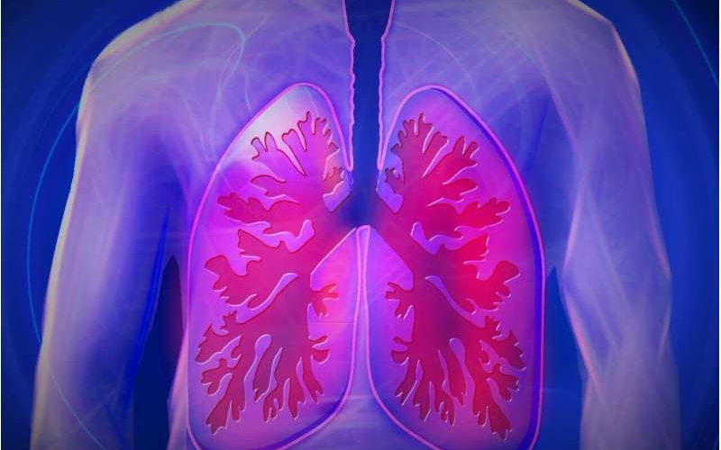 Vaping additives harm a vital membrane in the lungs, researchers find
