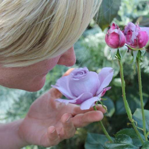 Can losing your sense of smell predict heart failure?