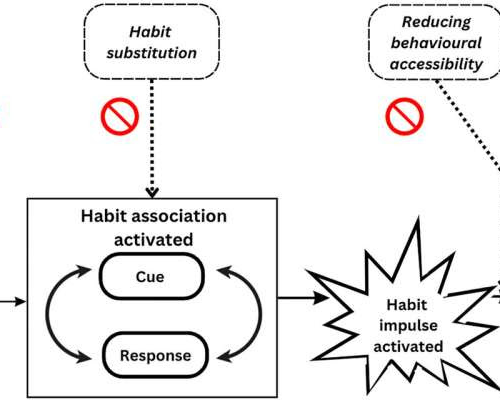 New study challenges ‘pop psychology’ myths about habits