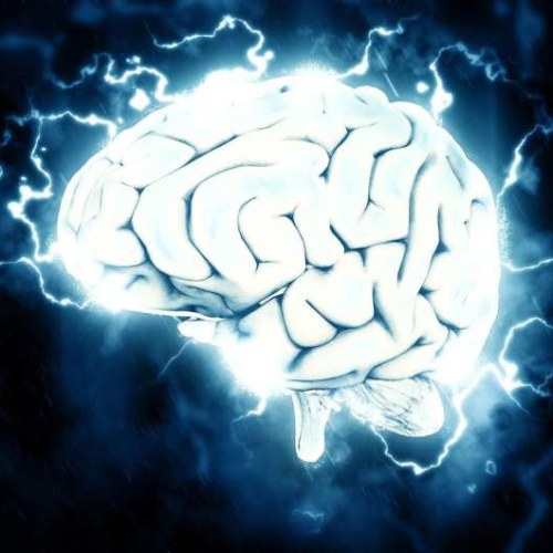 Brain connectivity on MRI predicts Parkinson’s disease progression