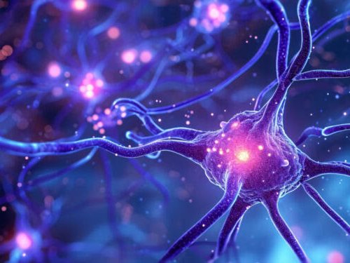 New neuroscience research reveals the remarkable impact of exercise on brain cells