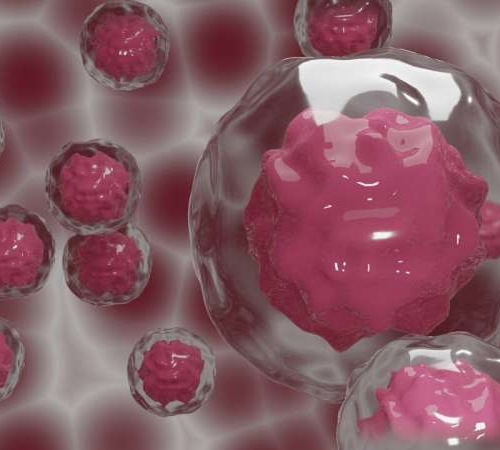 All stem cell therapies are not created equally: Some don’t have many stem cells at all, researchers find