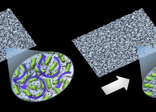 Getting bacteria into line