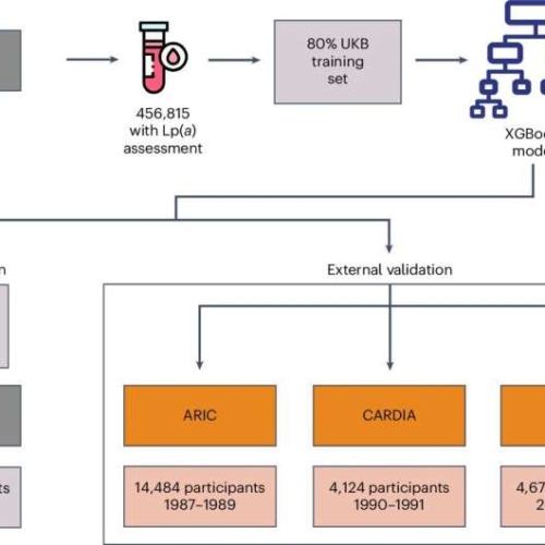 Experts discuss new screening tool developed for lipoprotein(a) detection