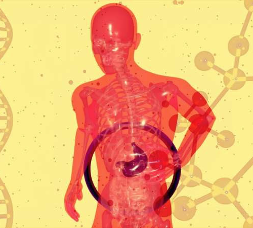 Diabetes and obesity can cause liver failure—but few people know their risk of developing liver disease