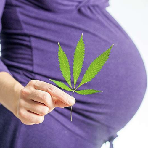 Marijuana use while pregnant could raise odds for complications