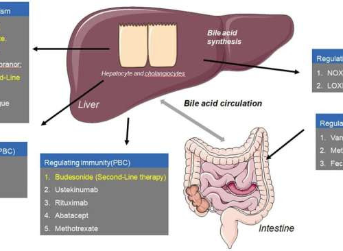 Progress in the management of patients with cholestatic liver disease: Where are we and where are we going?