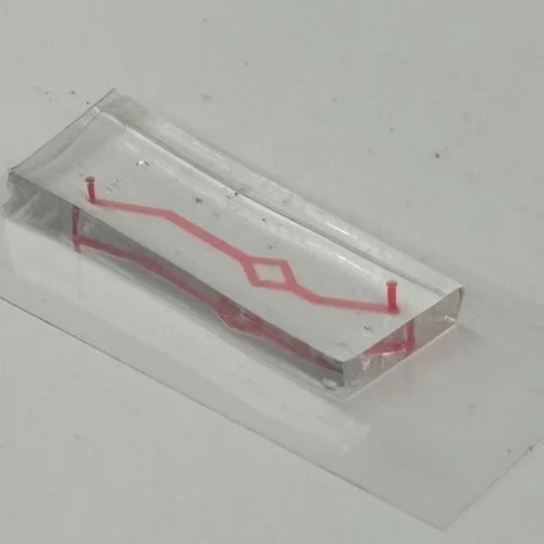 Researchers develop new transparent ‘blood vessel-on-a-chip’