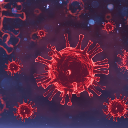 Long-term immune changes persist in unvaccinated COVID-19 patients