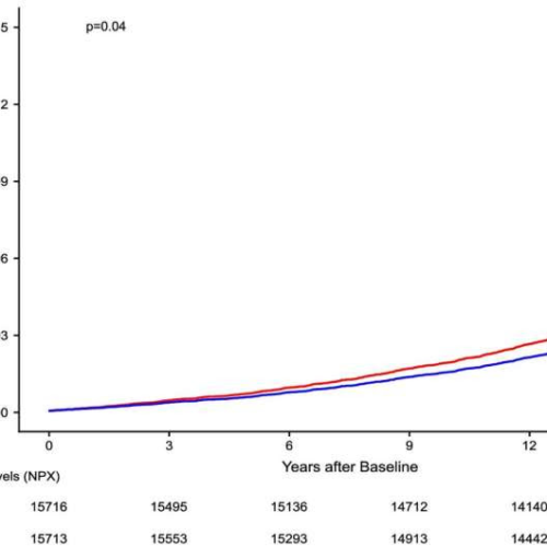 Study reveals link between transthyretin levels and heart disease risk