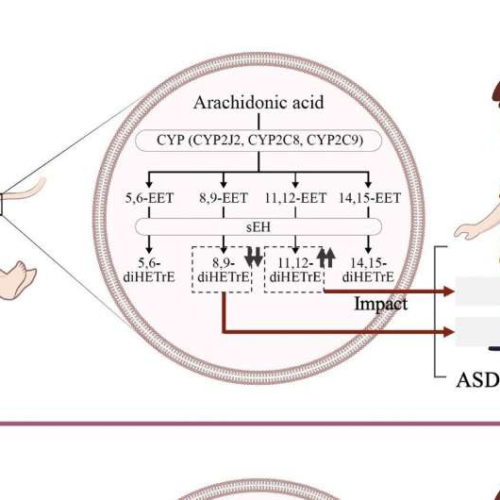 Fatty acids in umbilical cord blood might cause autism spectrum disorder