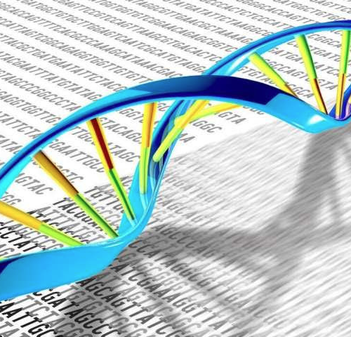 Epigenetic change to DNA associated with cancer risk in ‘multi-omics’ study