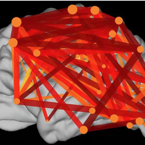 State-of-the-art brain recordings reveal how neurons resonate