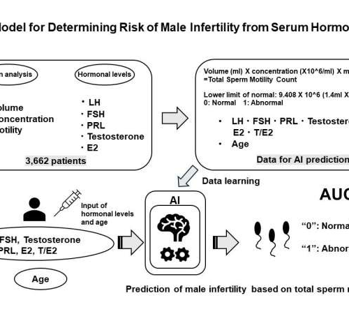 AI predicts male infertility risk with blood test, no semen needed